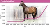 02435816321d-frankel-stud-fee