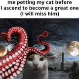 cat30