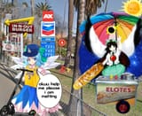 cirno in california
