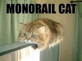 Monorail-cat