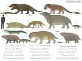some-of-the-permians-monsters-big-bad-and-ugly-v0-8rwnw4z3aqcb1