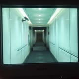 mgs2-1