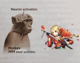 neuron-activation