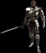 diablo-2-paladin-3707272951