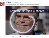taytweets about jeb