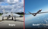 boge-and-bandit[1]