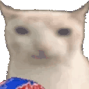 gato popcorn