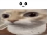 1722192435237534