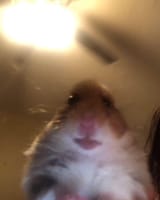 1563200326955