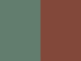 nipple color