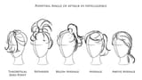 ponytail_angle_of_attack