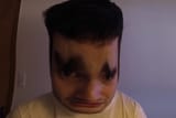 100 percent a frog