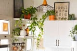 10-houseplants-that-will-thrive-in-your-kitchen-5079926-hero-02-90673ff3073d41c7aa495e8a4ecffc0f