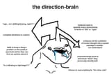 brainlet direction-brain_1