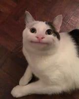 1752776771339080