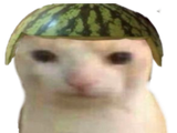 1685662440920183