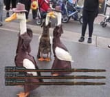 1577875157515
