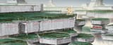 the people&#039;s grand hydroponic farms fan-wennan-11-1-8