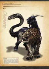 Dragon&#039;s Dogma ODW 133