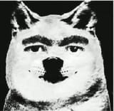 1742796917379164