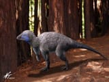kulindadromeus