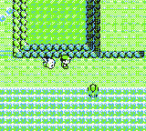 pokemon eek did you touch me