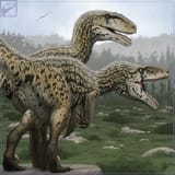 utahraptor pair