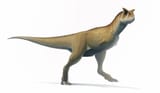 Carnotaurus_2017