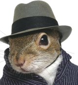 mafia_squirrel