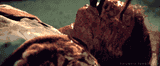 tumblr_oruwlyJb8x1w4o2dko1_540