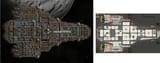 kestrel1