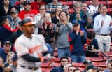 baseball fans