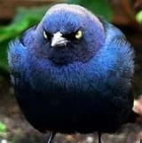 an_ancient_evil_has_awoken