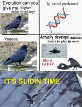 1673754387549940