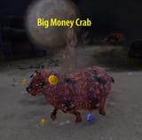 big money crab