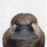 F1TyjcQaMAAgG2q