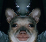 1727372222177578