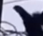 Screenshot_37