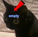 Brainless Void