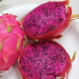 fruit