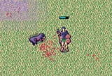 boar