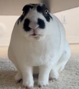 fuck you