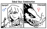 ideal duo3