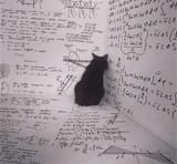 Thread image