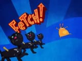 Fetch!