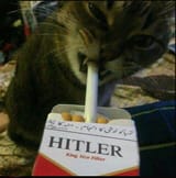 hitler cat cig