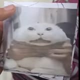 1752676472898871