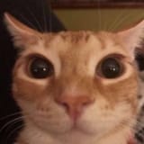 1742183177147101