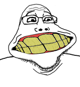 234324