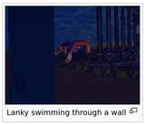 lanky swim